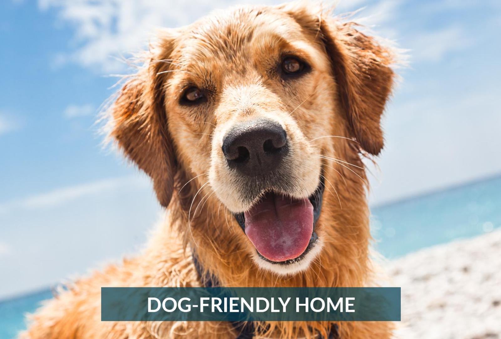 4011 The Dogs House 2 Min Walk To Beach Kitty Hawk Eksteriør billede